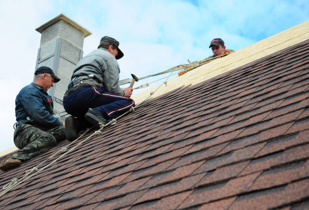Best Roof Repair Services  in Farrell, PA